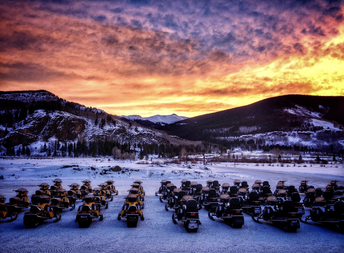 Nova Guides — Occupation Wild